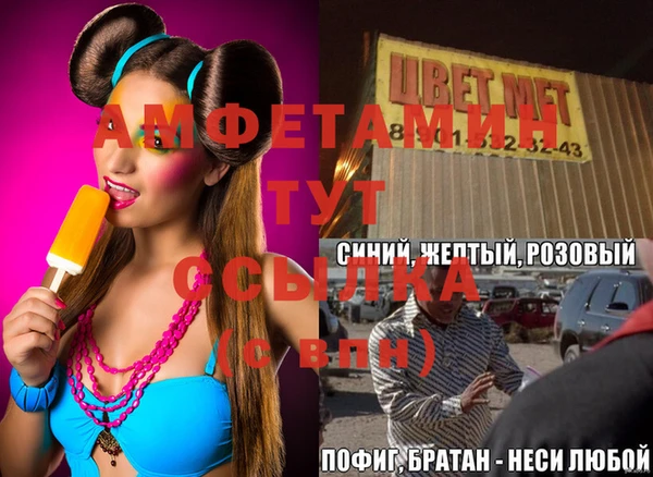 индика Белокуриха