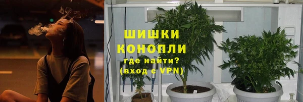 индика Белокуриха