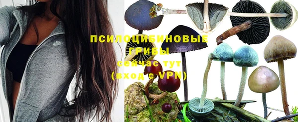 экстази Балахна