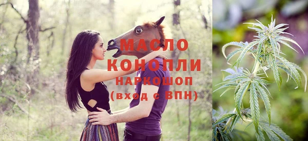 Альфа ПВП Пересвет