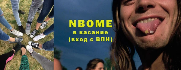 индика Белокуриха