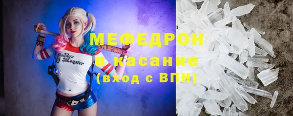 индика Белокуриха